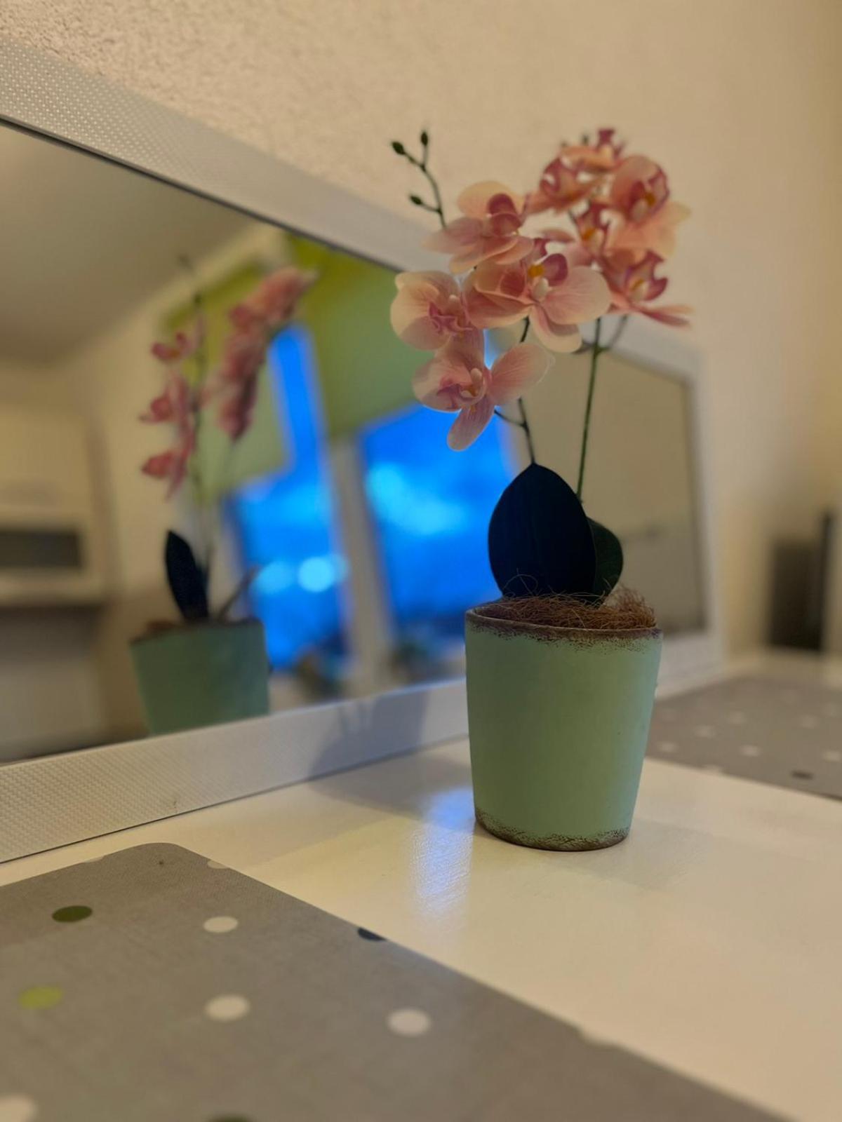 Lovely Apartment In Old Town 400M From City Center Sebilj Sarajewo Zewnętrze zdjęcie