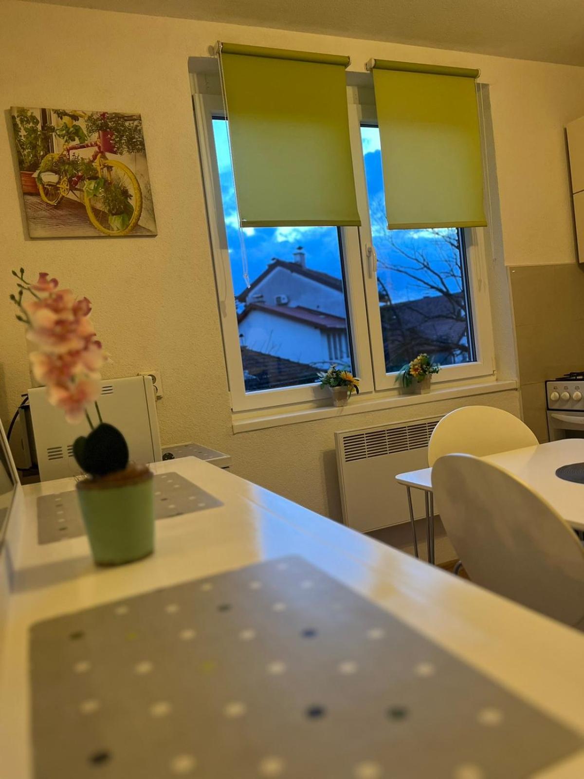Lovely Apartment In Old Town 400M From City Center Sebilj Sarajewo Zewnętrze zdjęcie