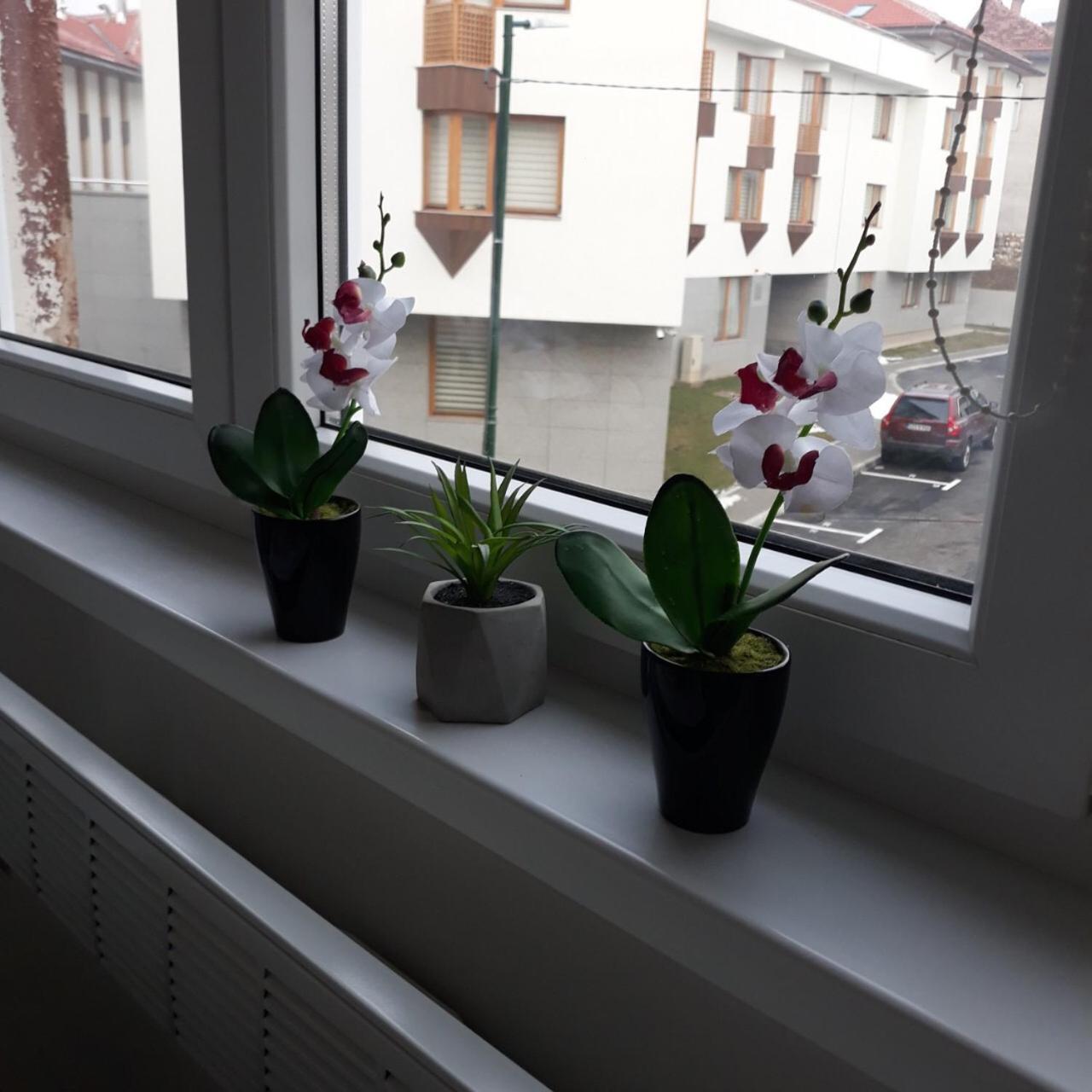 Lovely Apartment In Old Town 400M From City Center Sebilj Sarajewo Zewnętrze zdjęcie
